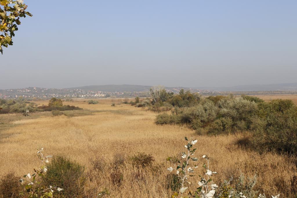 Wellness Apartments In ולנצה מראה חיצוני תמונה